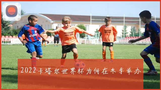 2022卡塔尔世界杯为何在冬季举办