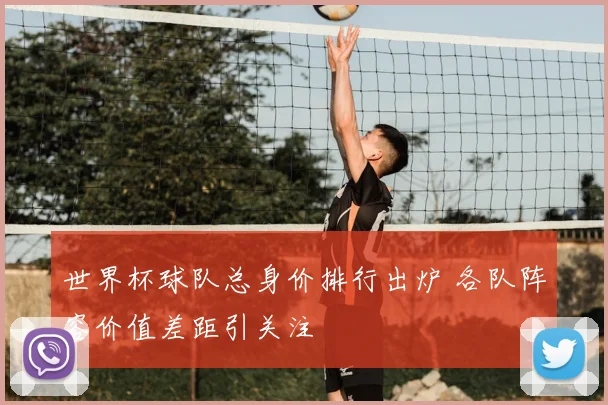 世界杯球队总身价排行出炉 各队阵容价值差距引关注