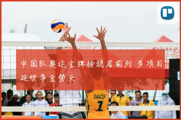 中国队奥运金牌榜稳居前列 多项目延续争金势头