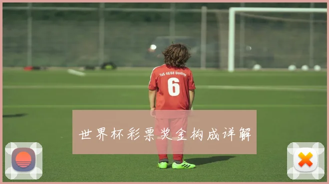 世界杯彩票奖金构成详解