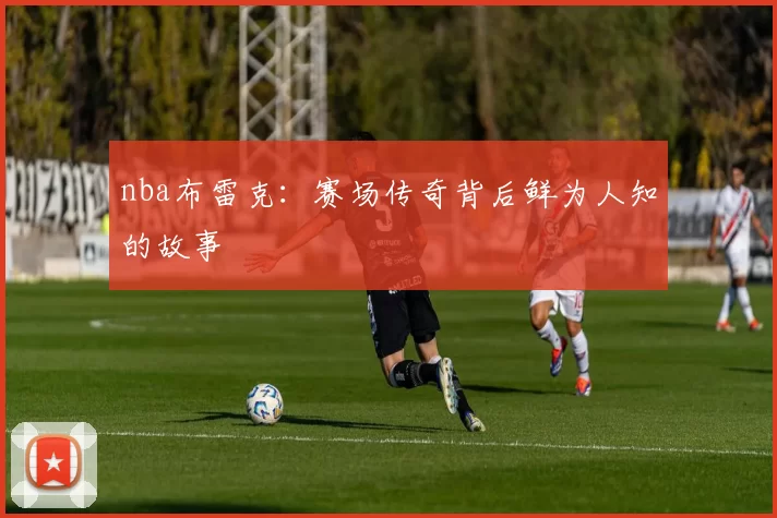 nba布雷克：赛场传奇背后鲜为人知的故事