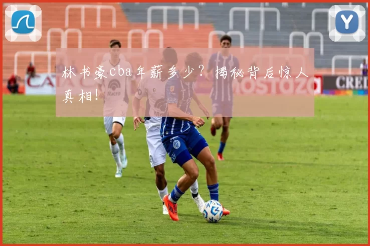 林书豪cba年薪多少？揭秘背后惊人真相！